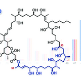 Screenshot 2021-12-16 at 11.34.19.png