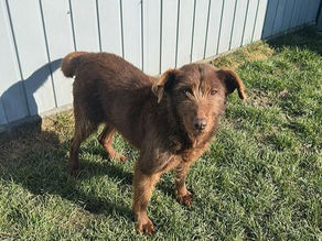 Renata - unsere flotte Seniorin