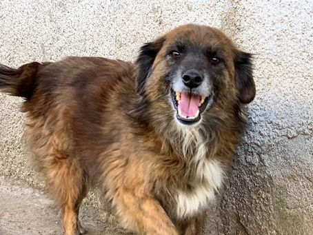 Smiley: unser „Prinz Charming“