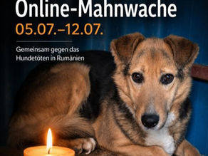 👉 Online-Mahnwache‼️