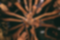 perry-grone-lbLgFFlADrY-unsplash_edited.jpg