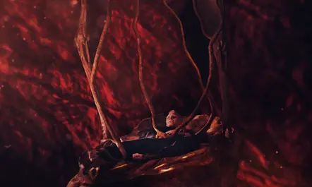 Crimes of the Future