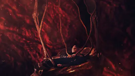 Crimes of the Future