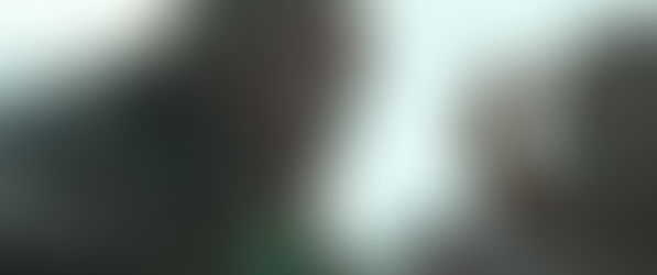 Rams - Storia di due fratelli e otto pecore (Hrútar)