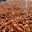 Thumbnail: Haridra Turmeric root chopped