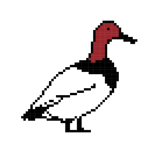 gif of a duck opening its mouth