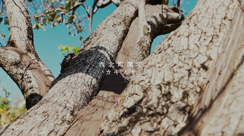 スクリーンショット 2021-07-17 6.26.48.png