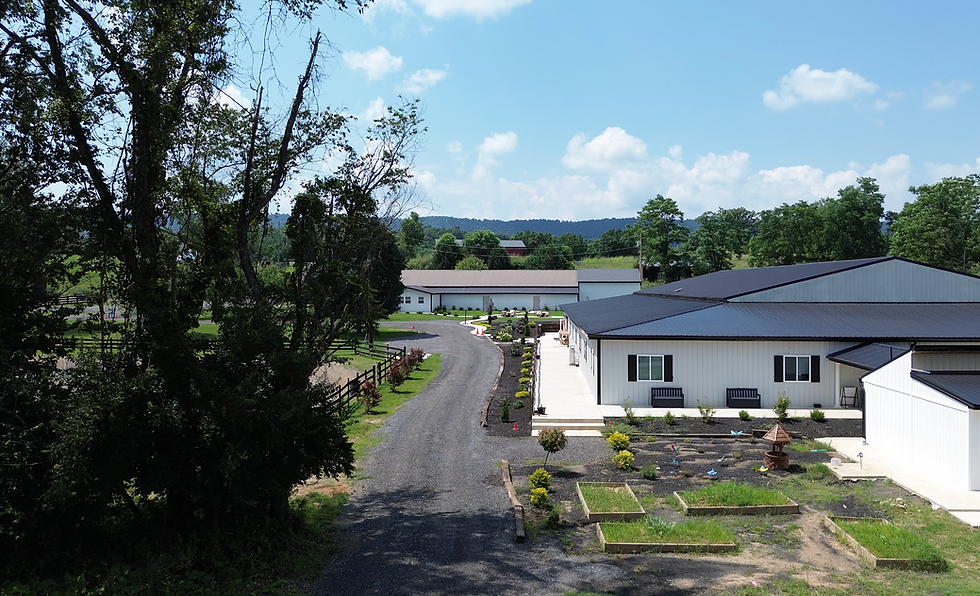 Screenshot 2025-08-15 at 11.18.29 PM.png