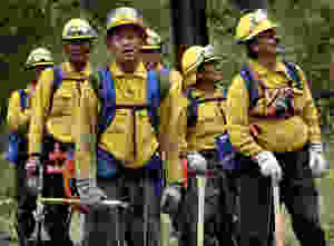 US report indicates broad risk of COVID-19 at wildfire camps
