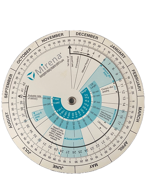 Adobe Express - file.png