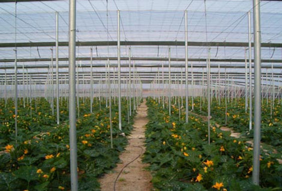 Invernaderos Agrícolas