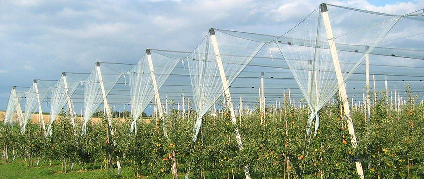 Mallas Antigranizo