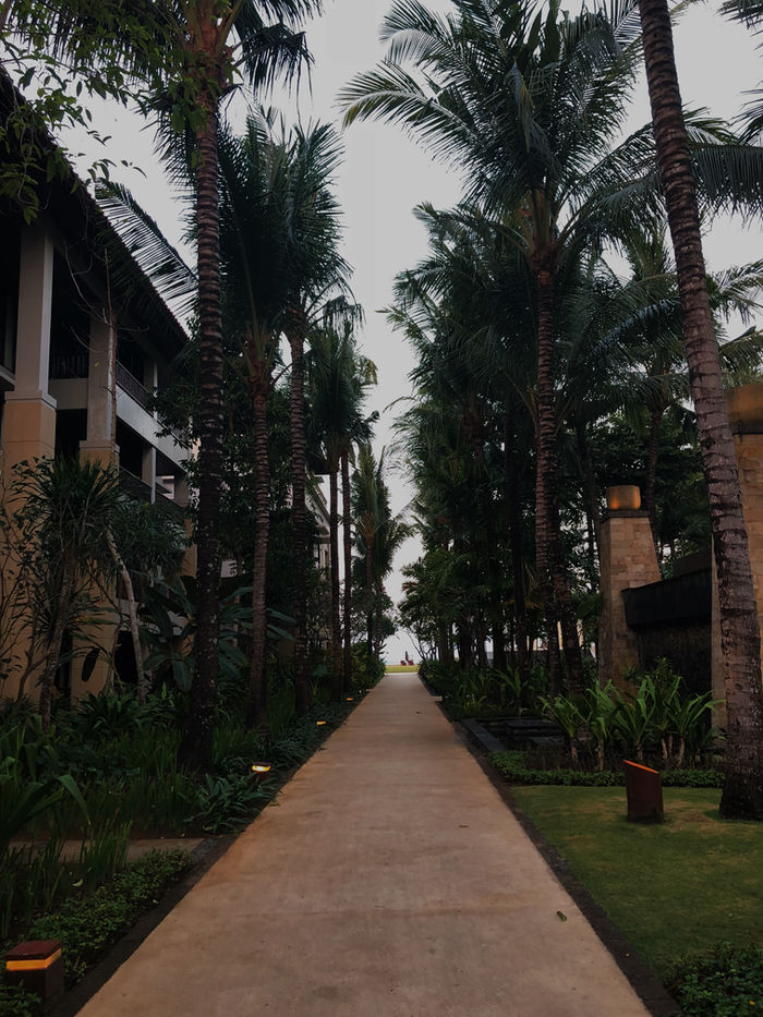 Bali Alley