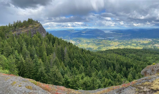North Cowichan stands to benefit from forest carbon credits as carbon tax increases