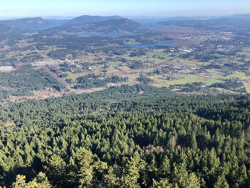 North Cowichan council should nix presentation from industry lobby group