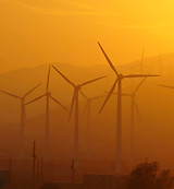 Palm Desert Wind Farm.jpeg