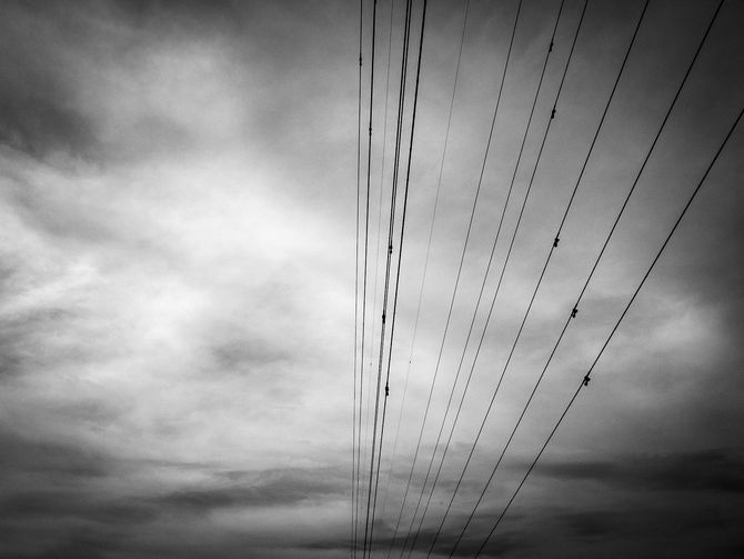 電雲日報其六十一