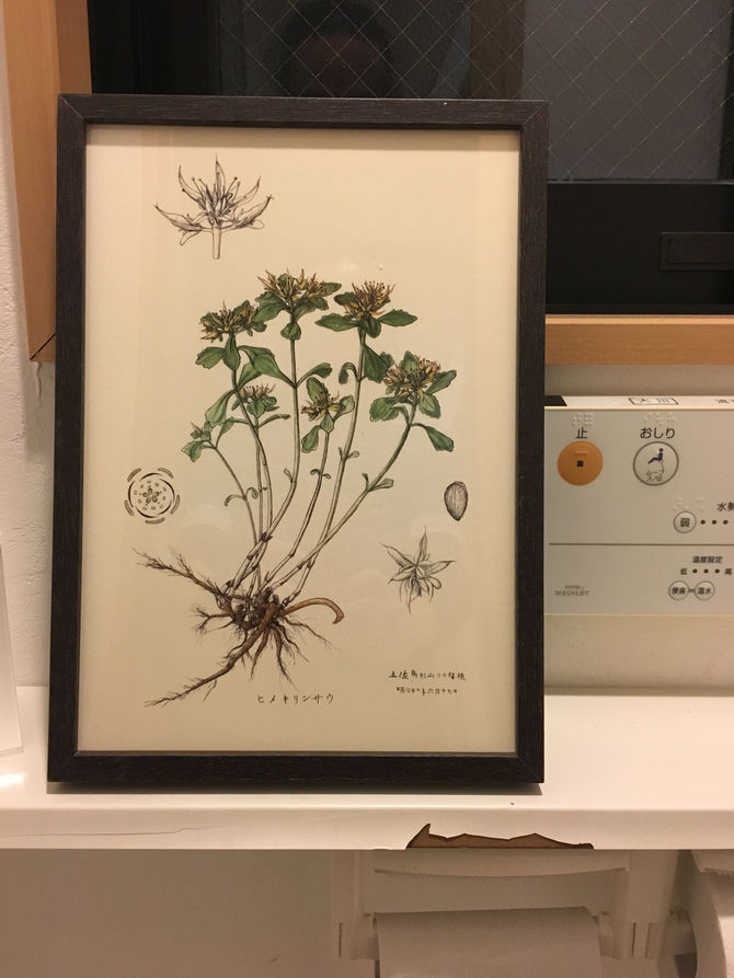 電雲日報其二百四獣七