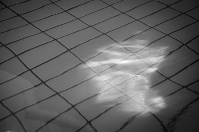 電雲日報其六十三