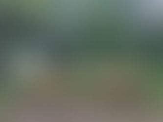 電雲日報其十四