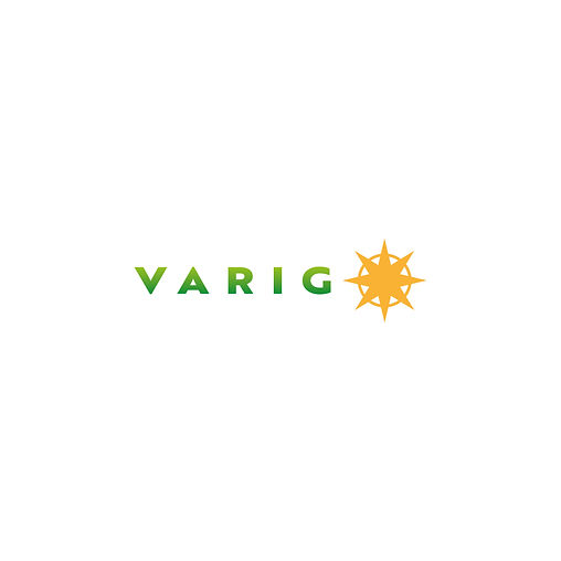 LOG_VARIG.jpg