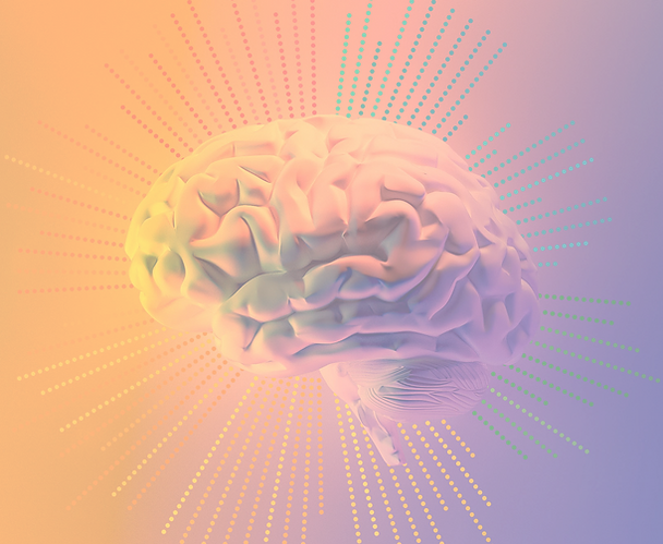 Brain_edited_edited.png