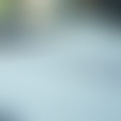 Bilingual Bookkeeping Solutions for Growing Businesses