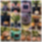 EA6F5DE7-7523-4026-8892-45C327E26C44.jpeg
