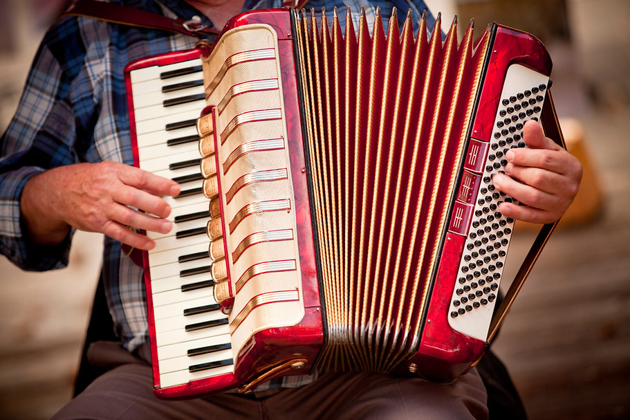 Player Fisarmonica
