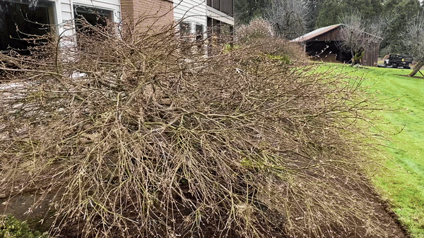 ezgif.com-video-to-gif.gif