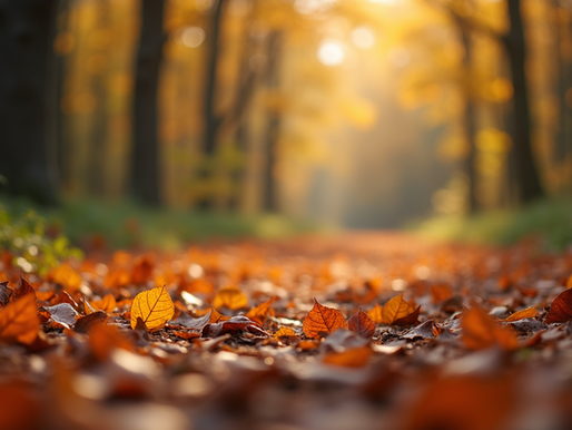 Immunité à l'automne : soutenir naturellement ses défenses