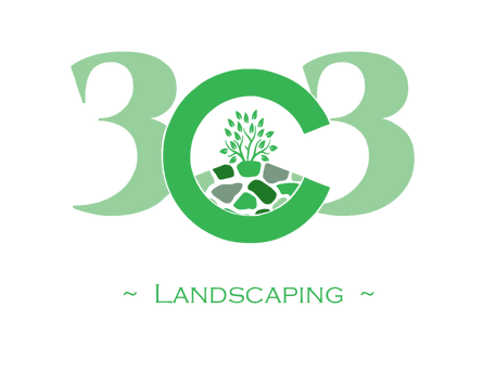 Premiere landscaping denver co, landscaping denver co, landscaping aurora