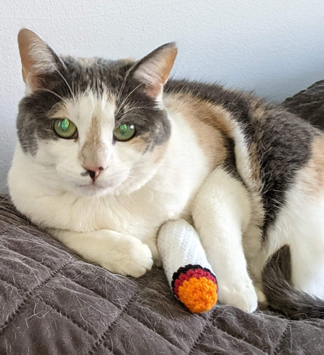 Kitty Joints | DAY Gabriel Crochet