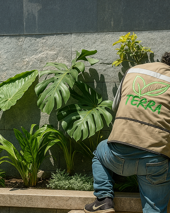 Jardinero de Terra 2025 plantando