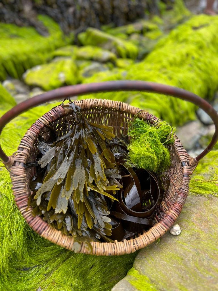 Bespoke forage for 8-12 people