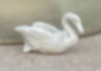 White Swan