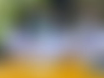 Thi THPT gồm những khối nào? Tổ hợp môn nào dễ xét tuyển?