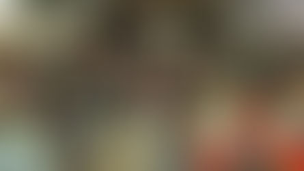 Festa do Dia Dos Trabalhadores 2016.