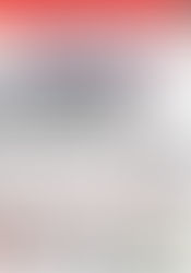 Edição Digital 146