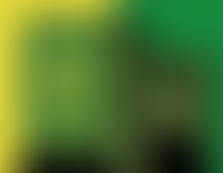 MP 905 do Programa Verde e Amarelo privilegia empresários e reduz direitos dos trabalhadores.