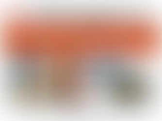 SINPACEL-RS promove Palestra com EMIR SADER.