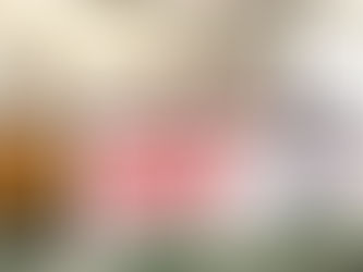 Ministro do Trabalho participa de Encontro Nacional dos Papeleiros, em Brasília.