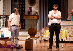 la-extrana-pareja-14