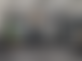 ランドマインツイスト