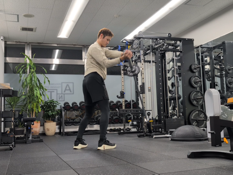 ランドマインツイスト