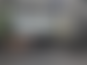 TRXサイドプランクTSツイスト