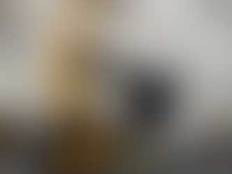 レバレッジシステム×グッドモーニング