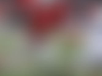 Topic Talk CFB Top 25: Week 9