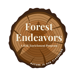 Forest Endeavors Logo (2).png