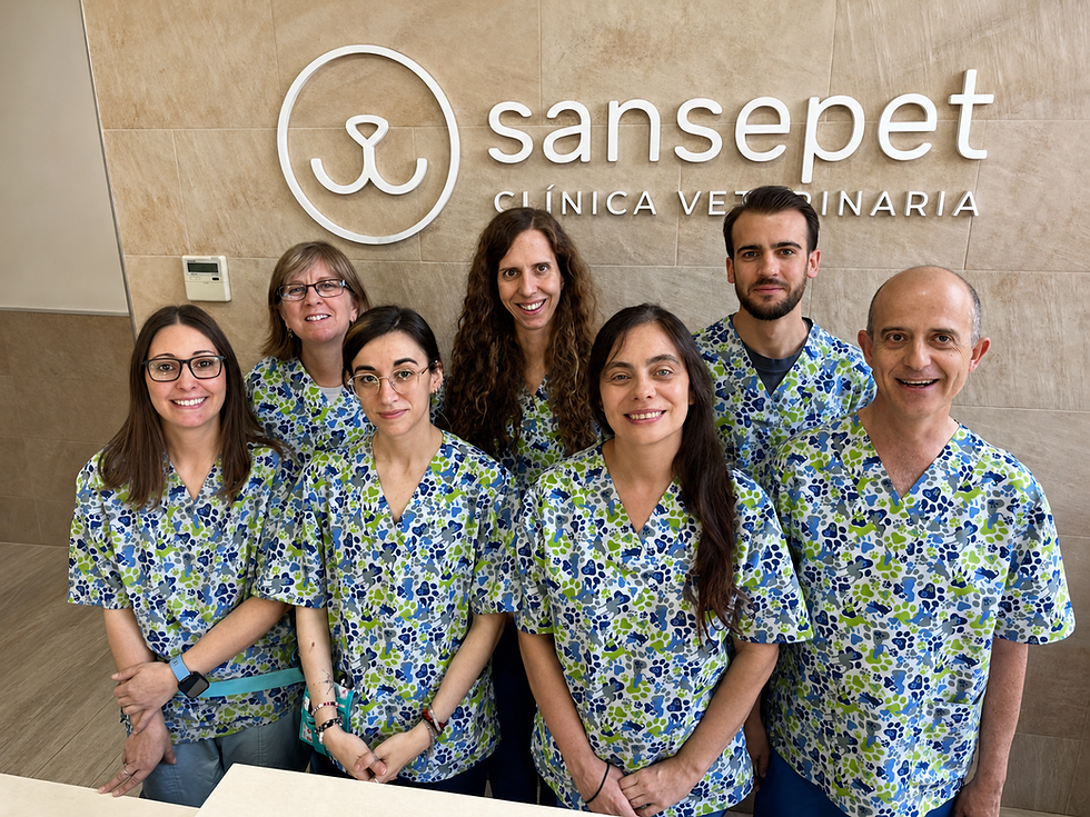 equipo sansepet.png
